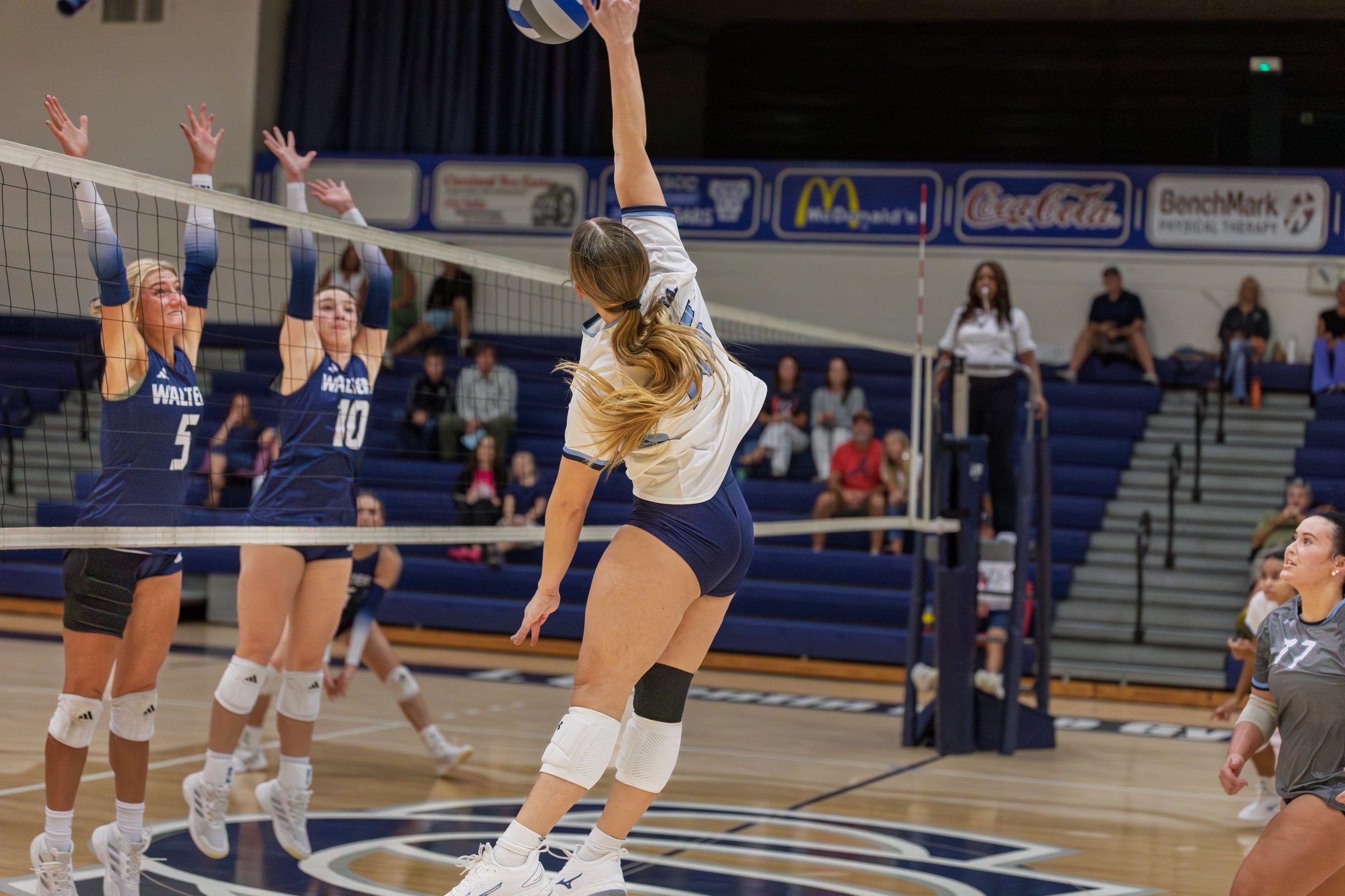 CLEVELAND, PELLISSIPPI TO MEET FOR REGION VOLLEYBALL CHAMPIONSHIP